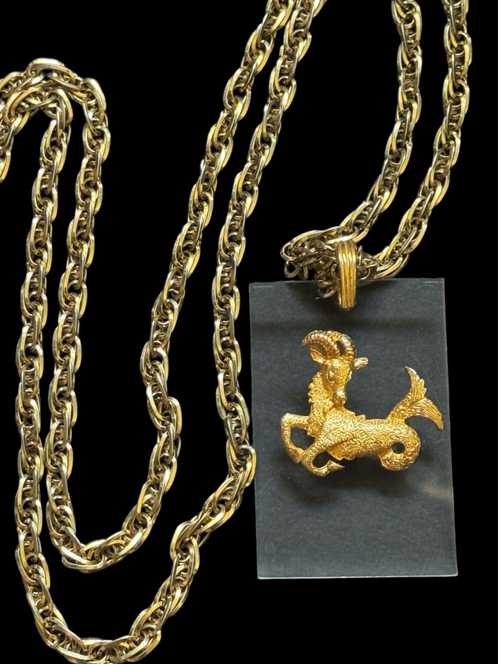 Monet Capricorn Lucite Pendant Rope Necklace
